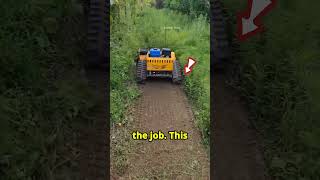 this man finds best Grass Trimmers machine shortsviral satisfying cars [upl. by Dric]