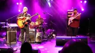 LARRY CARLTON  MR 335 PLAYS FUNKY BLUES [upl. by Htebiram728]