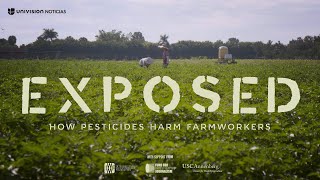 Exposed How pesticides harm farmworkers [upl. by Rimisac]