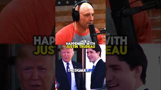 Rogan on Trump Going Off on Justin Trudeau [upl. by Duval568]