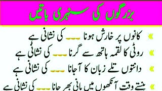 Important Sayings  Hikmat Ki Baten Bazurgon Ki Sunehri Baten  Kaam Ki Batain  Aham Batain [upl. by Nnailuj465]