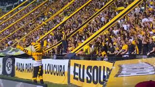 TORCIDA INSANA  Outra vez na primeira o Tigre estará [upl. by Aicittel]