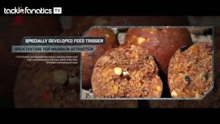 Tackle Fanatics TV – Dynamite ComplexT Boilies [upl. by Calabresi]