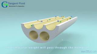 Crossflow Filtration of Ceramic Membrane [upl. by Eceirahs413]