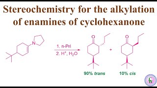 Stereochemistry for the alkylation of enamines of cyclohexanone [upl. by Earazed]