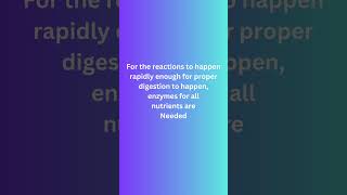 HOW DOES DIGESTION HAPPEN digestivesystem gastrin cck enzymes acid pH [upl. by Ecirpac]