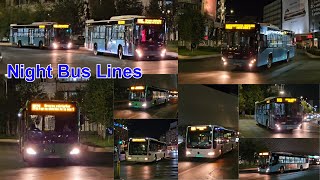 Buses at Night Lines [upl. by Gnah789]