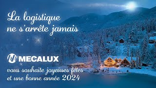 Meilleurs voeux de fin dannée 2023  Mecalux [upl. by Durning]