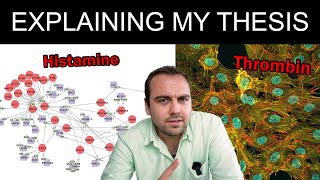 Explaining my thesis  Hemostaticendothelial signaling [upl. by Pentheam798]