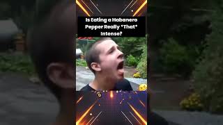 Is Eating a Habanero Pepper Really That Intense [upl. by Herries]