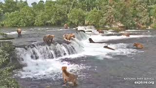 Super Epic Bearapalooza 17 Brown Bears at Brooks Falls 2 hours uninterrupted [upl. by Phira]