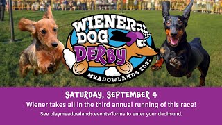 2021 Annual Weiner Dog Derby [upl. by Aubyn699]