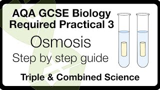 AQA GCSE Biology Practical 3 Osmosis Explained  Exam Tips [upl. by Tlevesor]