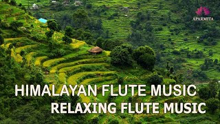 Himalayan Flute Music  Meditation Music  Relaxing Flute Music बाँसुरी Aparmita Ep 131 [upl. by Aritak551]