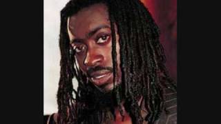 Beenie Man  ganja farm [upl. by Nnovahs318]