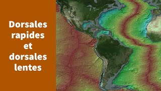 Deux types de dorsales  les dorsales rapides et les dorsales lentes  Première Spécialité SVT [upl. by Atirihs]