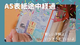 手帳の中身＼整理するタイミングはいつ／ [upl. by Assirt]