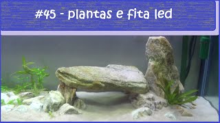 Plantas e fita LED no aquário de 150 litros [upl. by Fauver]