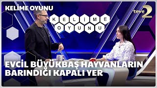 Evcil büyükbaş hayvanların barındığı kapalı yer  Kelime Oyunu [upl. by Devehcoy616]