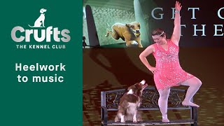 Freestyle Heelwork To Music Competition Winner  Crufts 2023 [upl. by Meeki250]