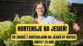 HORTENSJA NA JESIEŃ  CO ZROBIĆ Z HORTENSJAMI NA JESIEŃ BY OBFICIE KWITŁY ZA ROK [upl. by Naletak]