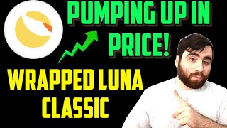 Wrapped Luna Classic WLUNA PUMPING UP IN PRICE Current price and where its valued at on coinbase [upl. by Jehius]