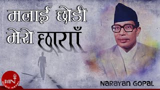 Malai Chhodi Mero Chhaya  Narayan Gopal  Nepali Song [upl. by Vyner496]