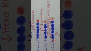 Respiration in plants cellularrespirationglycolysis [upl. by Zetta841]