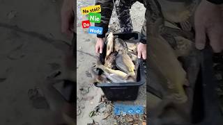 Karpiowe El Dorado  Карп Эльдорадо carpfishing carp карп fish рыбалка fishing love travel [upl. by Alleuol]