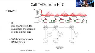 2020 STAT115 Lect152 Topologically Associating Domains [upl. by Ewall222]