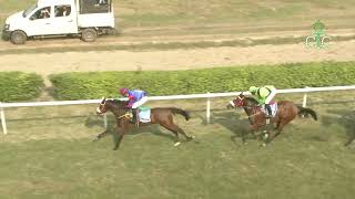 SNOW LEOPARD with Arul J H up wins The Revelation Cup 2023 [upl. by Koblick11]