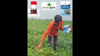 Chalo Agro  Bazuka  Mahaclean [upl. by Anirehtak77]