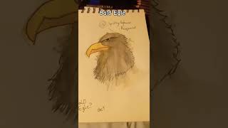 Bald Egle Spirographave request  fypシ゚ art artdrawing drawing animals song music  ★ [upl. by Dulcinea]