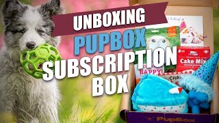 PupBox Subscription Box Unboxing [upl. by Forsta]