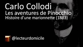 Les aventures de Pinocchio  Carlo Collodi  17 [upl. by Oiludbo]