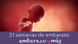 31 semanas de embarazo  Séptimo mes  EMBARAZOYMAS [upl. by Theresita]