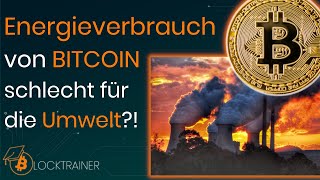 BITCOIN Energieverbrauch schlecht für die Umwelt  Till Musshoff im Interview [upl. by Tilagram]