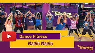 Nagin Dance I Dance Fitness  Trihedron  Bajatey Raho I [upl. by Man]