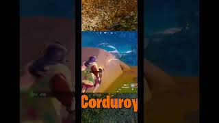 Corduroy and I got a win in Fortnite as a duo [upl. by Bertelli]