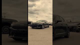 2022 Kia Stinger GTLine🐝 Test drive at Redmond CDJR in Frankfort Kentucky today cars cartok [upl. by Iolanthe]