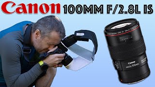 Should you buy the Canon EF 100mm f28L IS   Long Term Review [upl. by Lowson]