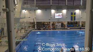 Diving Lund 2024 CBoys 3m [upl. by Imogene]