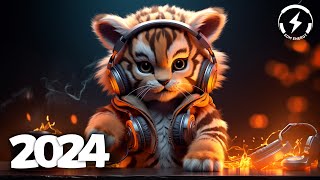 Music Mix 2024 🎧 EDM Mix of Popular Songs 🎧 EDM Gaming Music Mix 112 [upl. by Hallock884]