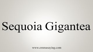 How To Say Sequoia Gigantea [upl. by Annasor]