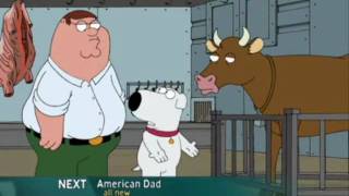 Family Guy S06E08  McStroke  Dacow scene [upl. by Sreip655]