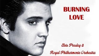 Burning Love Elvis Presley amp Royal Philharmonic Orchestra TRADUÇÃO HD Lyrics Video [upl. by Hoskinson]