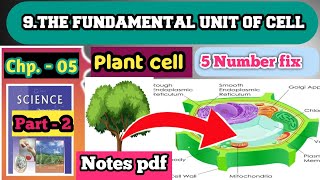 Plant Cell  Plant Cell Structure  Cell [upl. by Annohs]