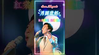 【月圆花好 費玉清】台湾中文国语老歌金曲怀旧名曲 Fei Yuching Blossoms Under The Moon Nostalgic Mandarin Classic Hits [upl. by Lletnwahs]