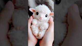 Cute sheep ForYou [upl. by Eltsryk]