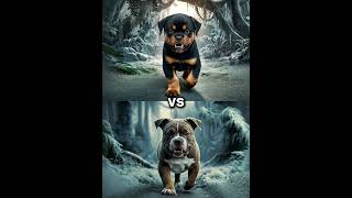 Rottweiler Puppy vs Pitbull puppy  German Shepherd Husky Doberman labrador retriever Pointer [upl. by Asirrak]